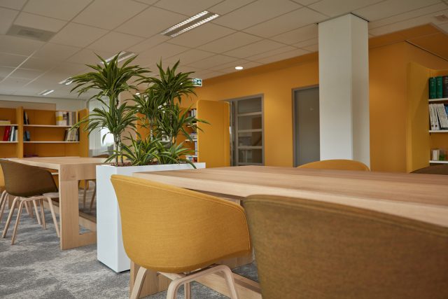 bibliotheek Dura Vermeer